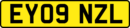 EY09NZL