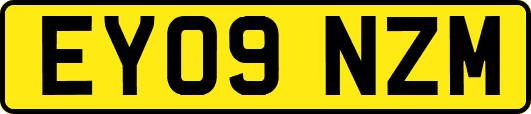 EY09NZM