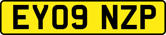 EY09NZP