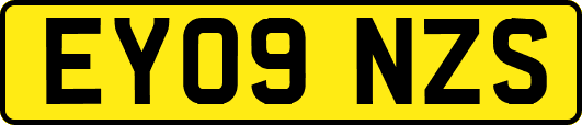 EY09NZS