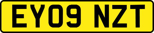 EY09NZT