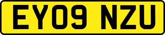 EY09NZU