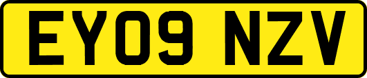 EY09NZV