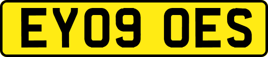 EY09OES