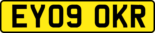 EY09OKR
