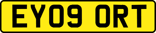 EY09ORT