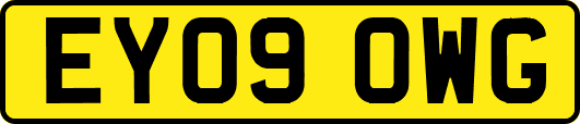 EY09OWG
