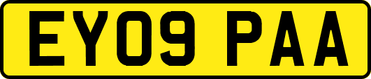EY09PAA