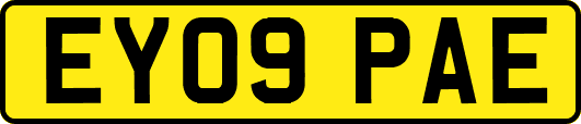 EY09PAE
