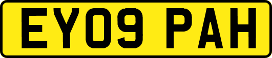 EY09PAH