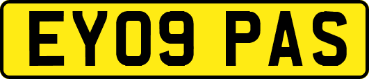 EY09PAS