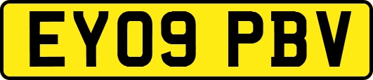EY09PBV