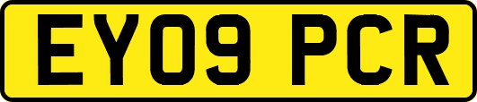 EY09PCR
