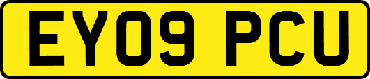 EY09PCU