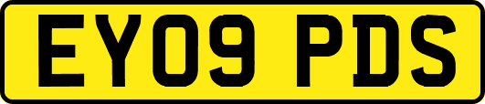 EY09PDS