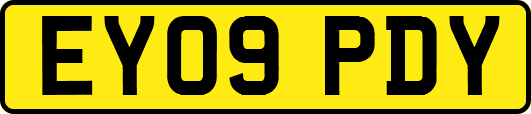 EY09PDY