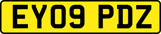 EY09PDZ