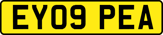 EY09PEA