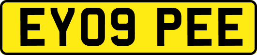 EY09PEE