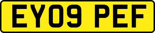 EY09PEF
