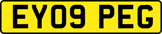 EY09PEG