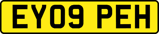 EY09PEH