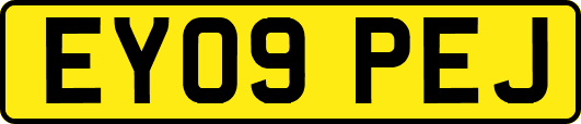 EY09PEJ