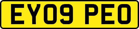 EY09PEO
