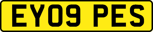 EY09PES