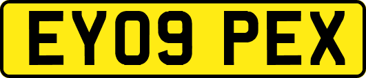 EY09PEX