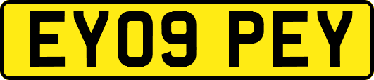 EY09PEY