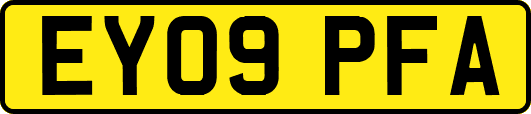 EY09PFA