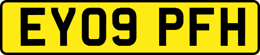 EY09PFH