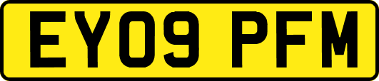 EY09PFM