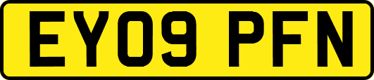 EY09PFN