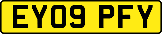 EY09PFY