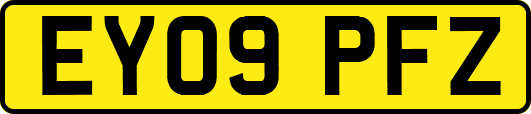 EY09PFZ