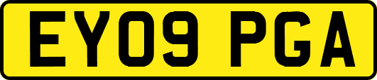 EY09PGA