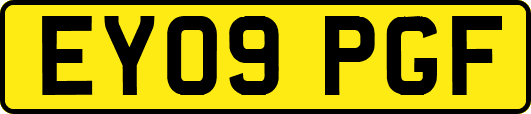 EY09PGF