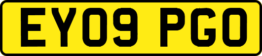 EY09PGO