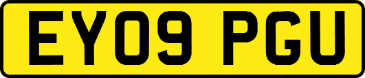 EY09PGU