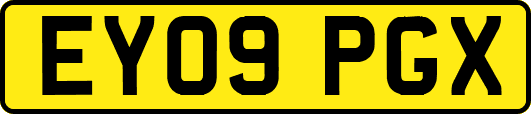 EY09PGX