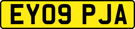EY09PJA