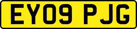 EY09PJG