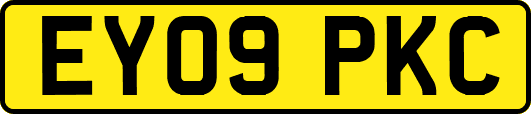 EY09PKC