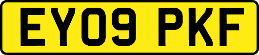 EY09PKF