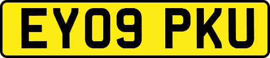 EY09PKU