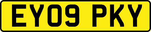 EY09PKY