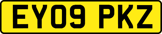 EY09PKZ