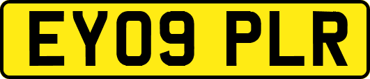 EY09PLR